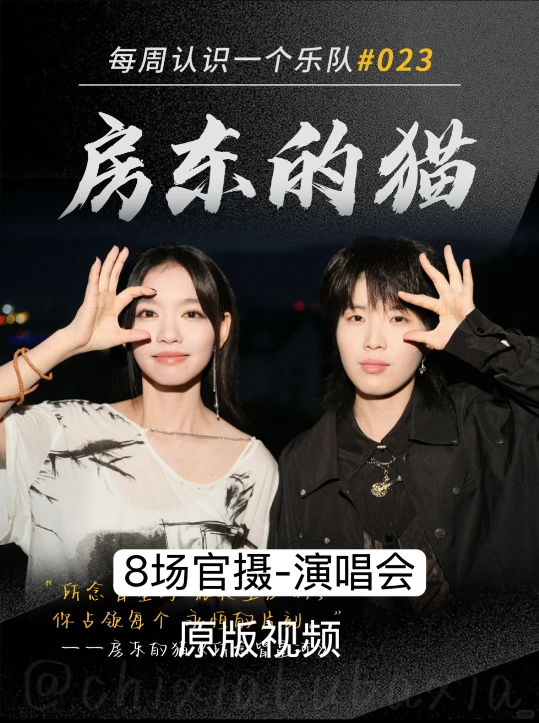 宝藏乐队!房东的猫8场官摄演唱会合集✨