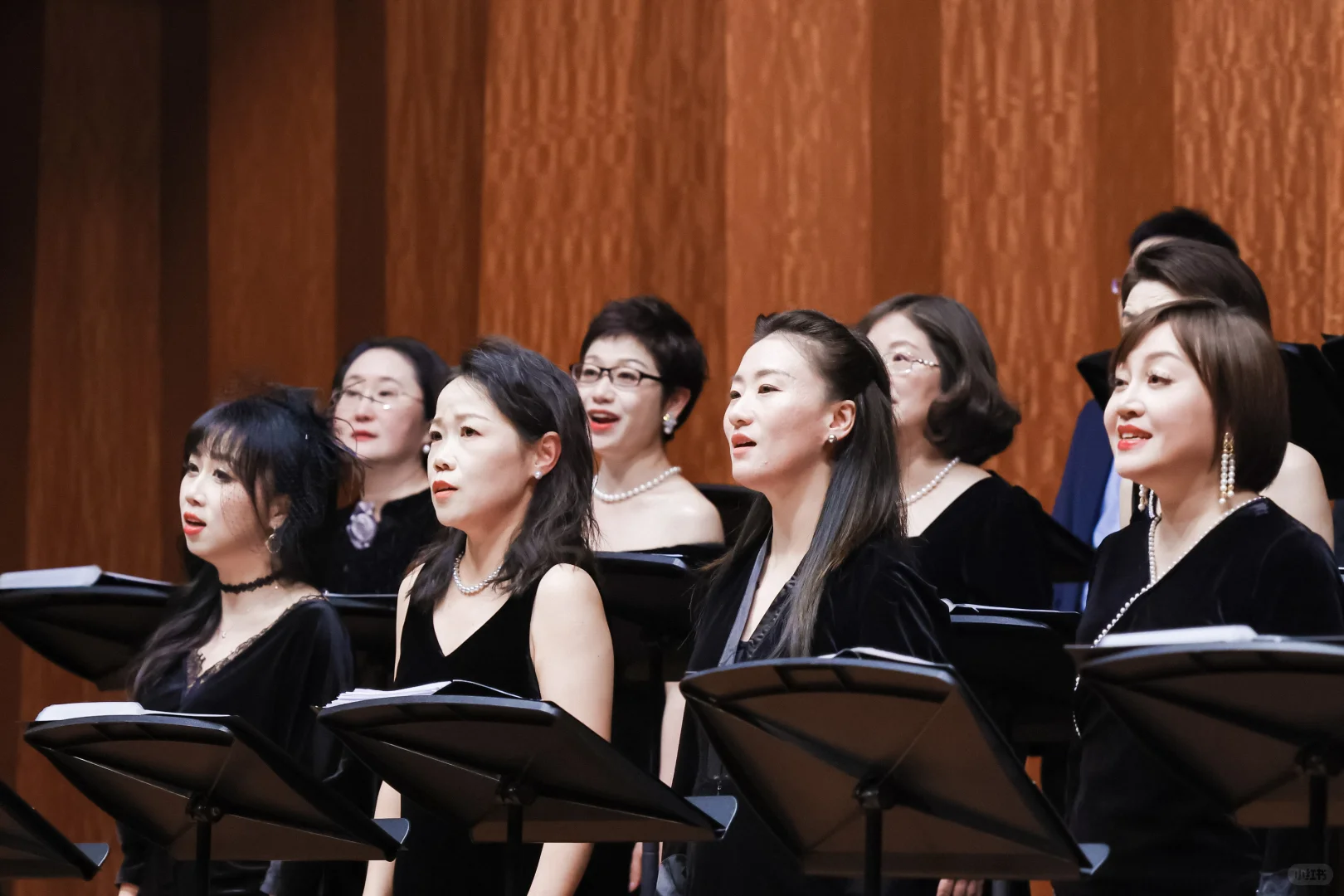 “我歌唱的理由有很多”中欧红枫合唱团音乐会