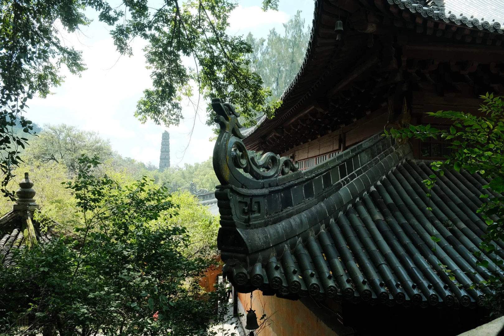 听到了一首真正的民谣