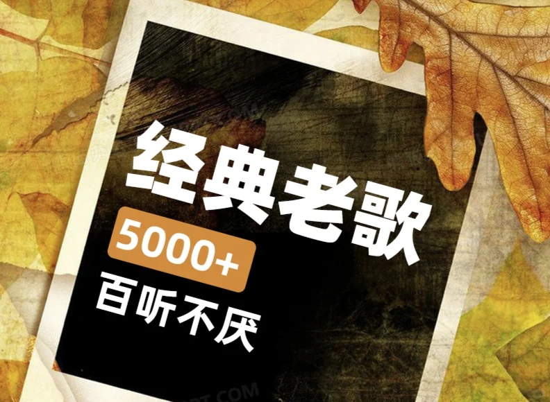 经典老歌，百听不厌🎧
