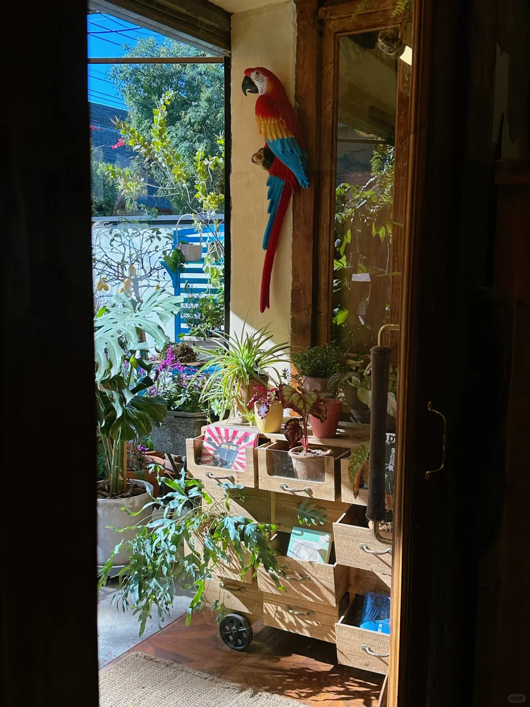 周末活动 | 咖啡馆里的客厅民谣音乐会