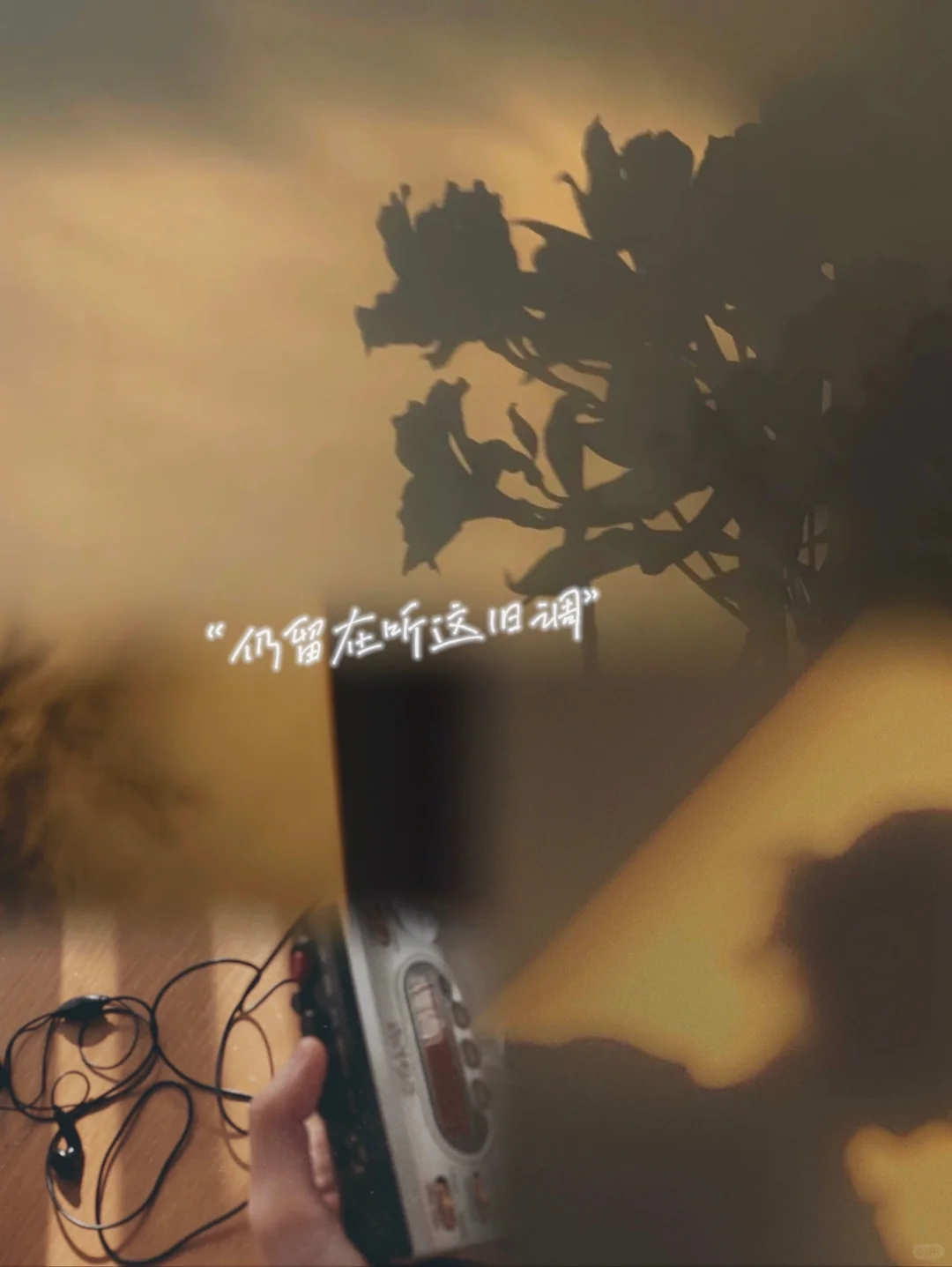 |听听这旧调|“歌声句句唱出愉快少年事”