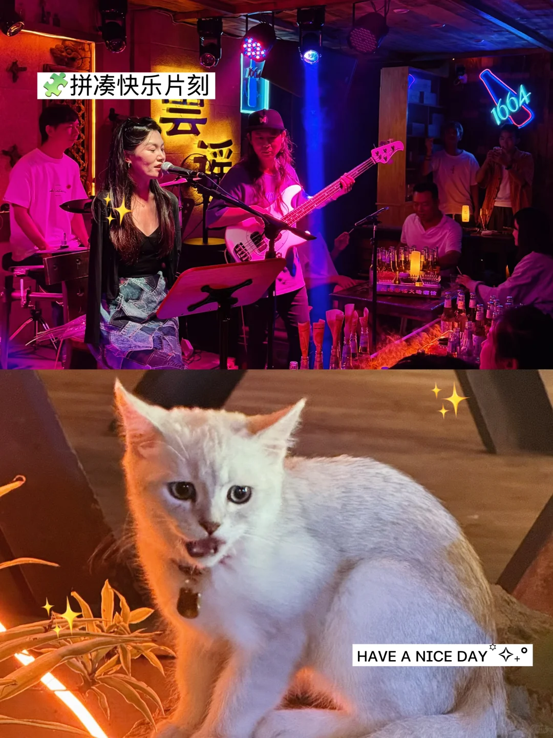 大理夜酌｜雲谣火塘的民谣与晚风🌬️