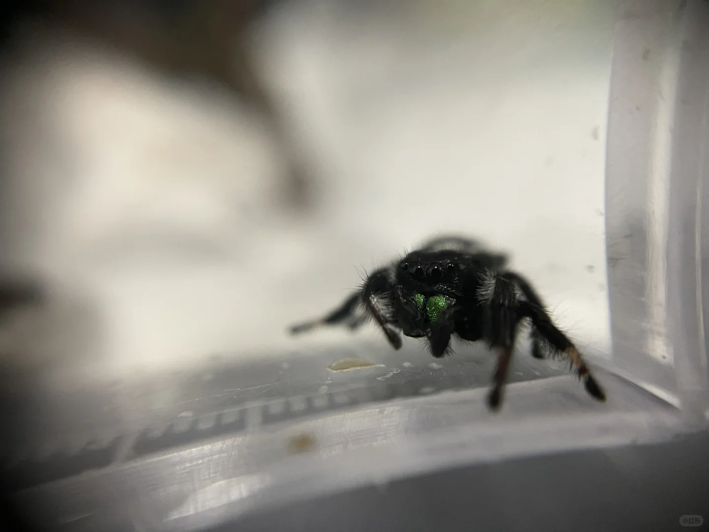 民谣 初听时伤感，细听时治愈