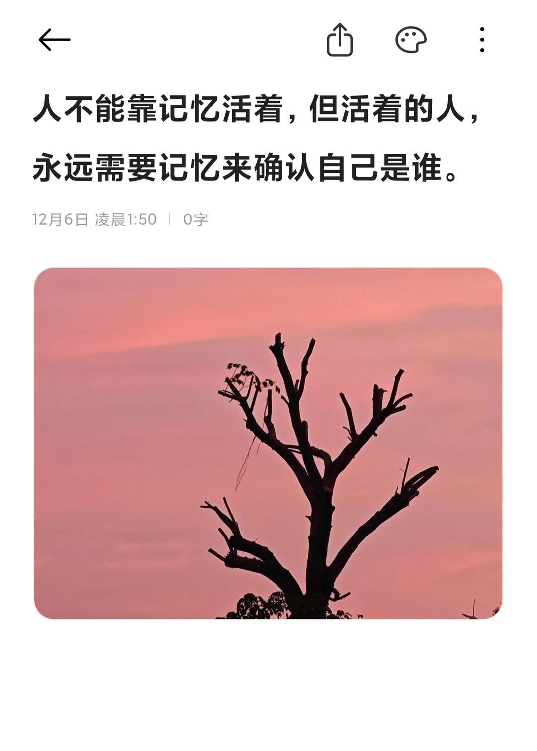 月光旧物，温暖如衣