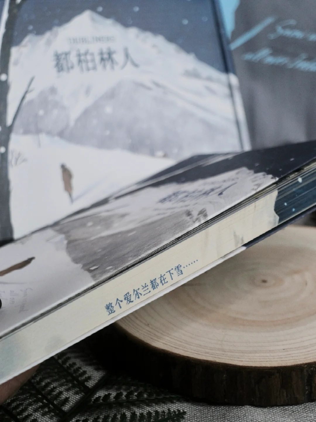 美的想哭😭西方文学史上最有名的一场雪!