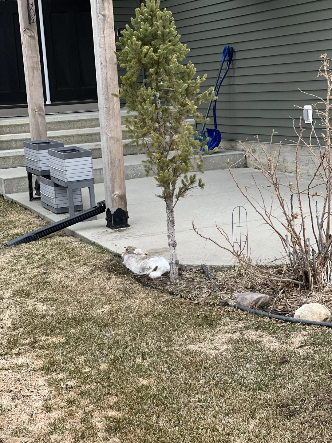 有没有什么歌曲是无限♾️循环播放