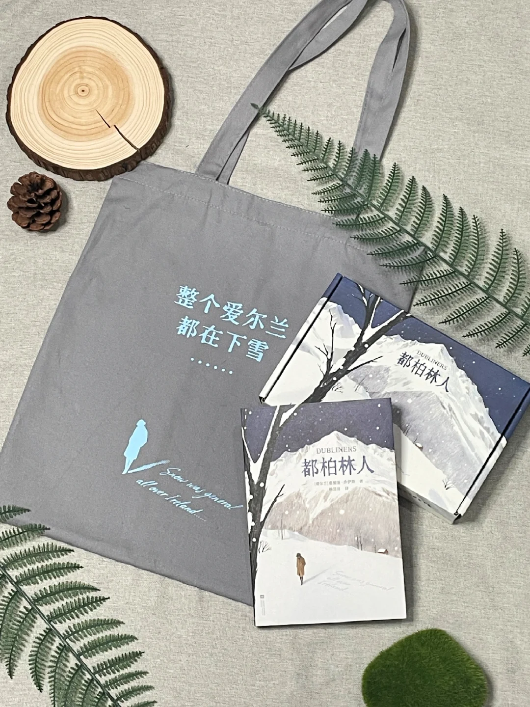 美的想哭😭西方文学史上最有名的一场雪!