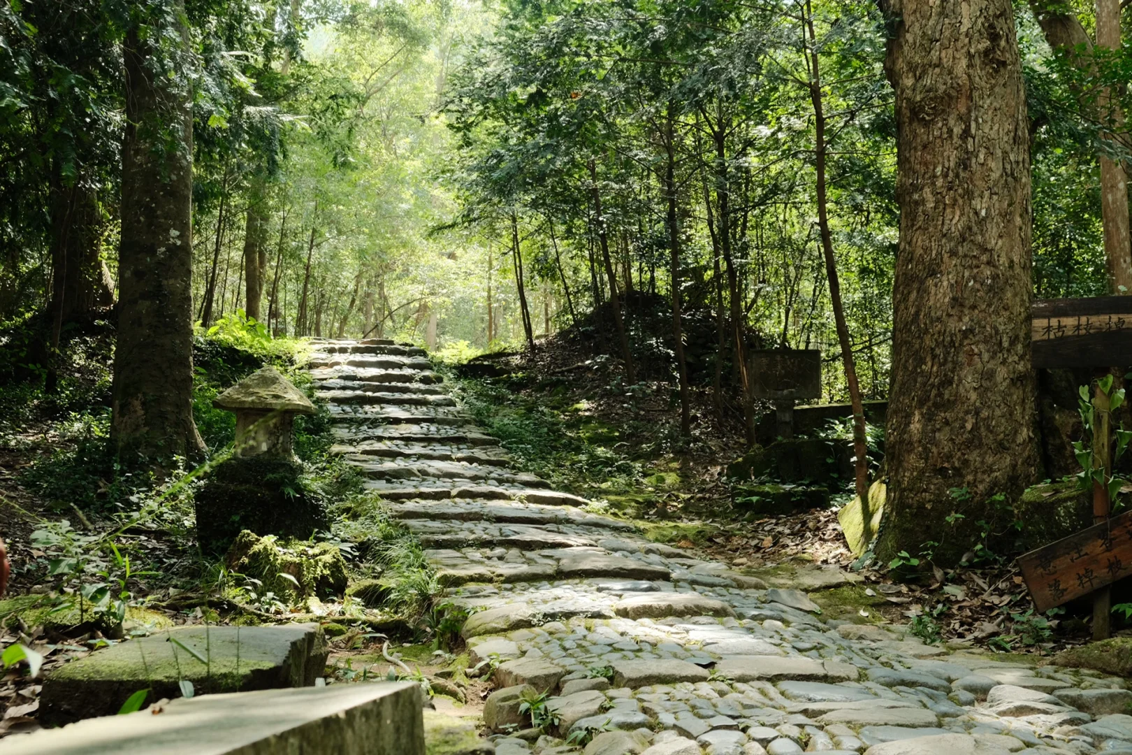 听到了一首真正的民谣