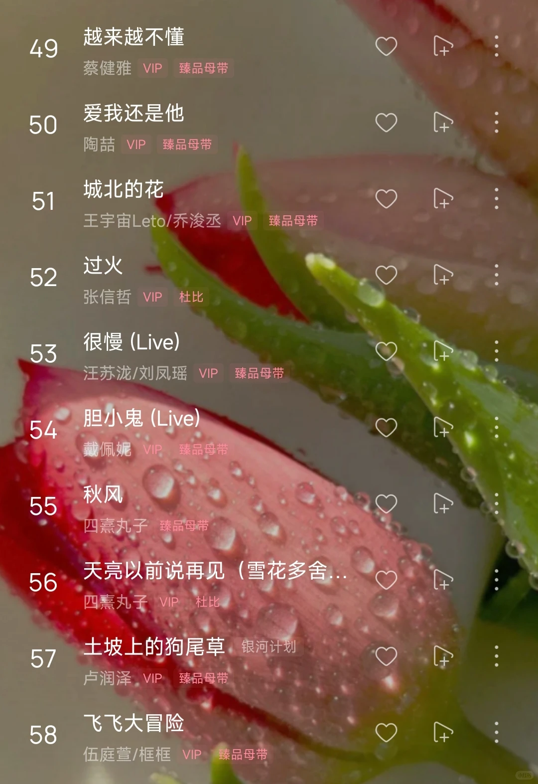 歌单分享 I 听劝！这个开车歌单真的绝绝子