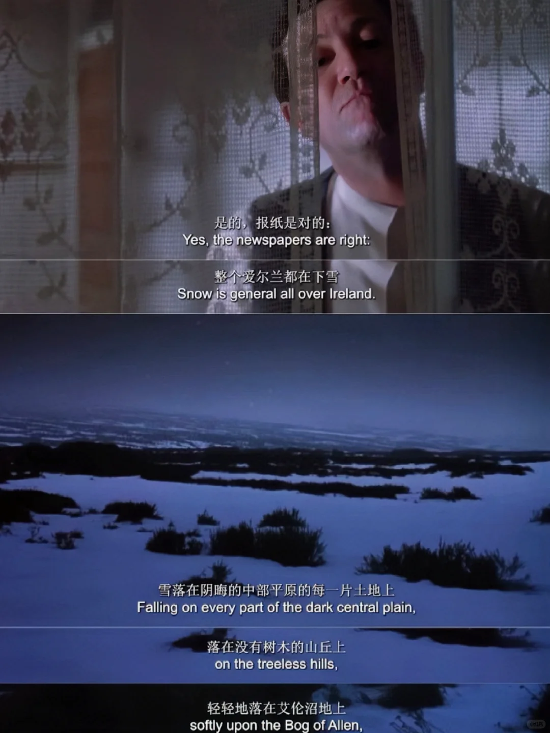 美的想哭😭西方文学史上最有名的一场雪!