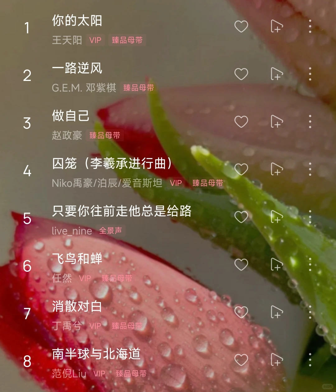 歌单分享 I 听劝!这个开车歌单真的绝绝子