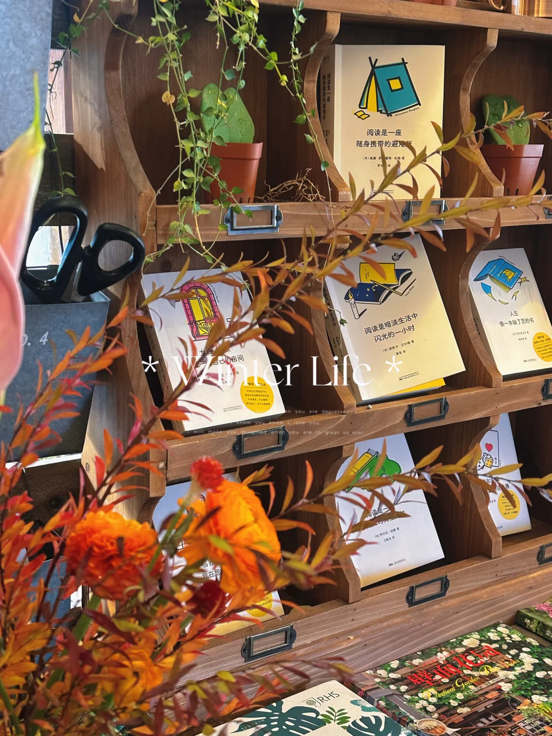 周末活动 | 咖啡馆里的客厅民谣音乐会