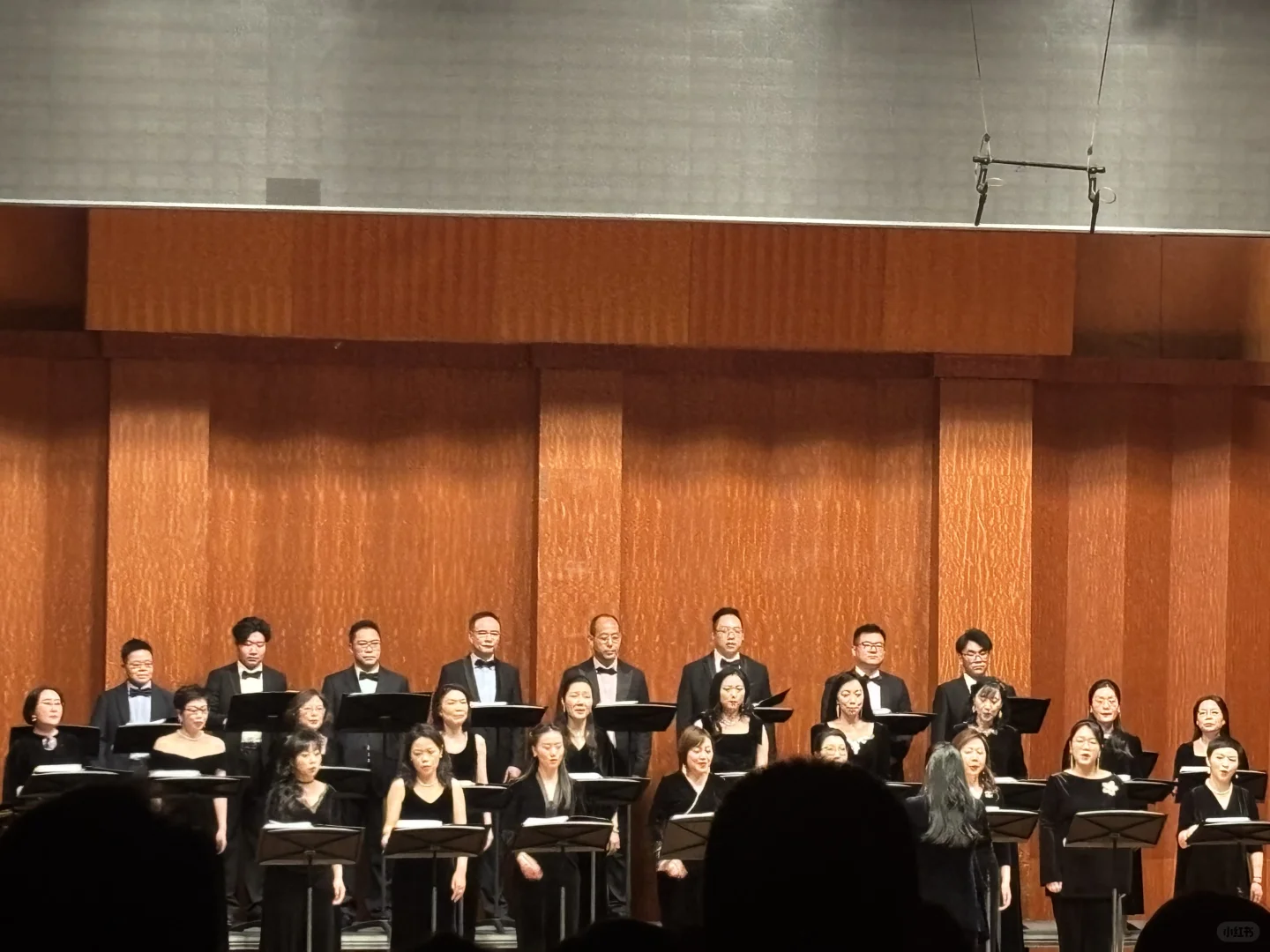 “我歌唱的理由有很多”中欧红枫合唱团音乐会