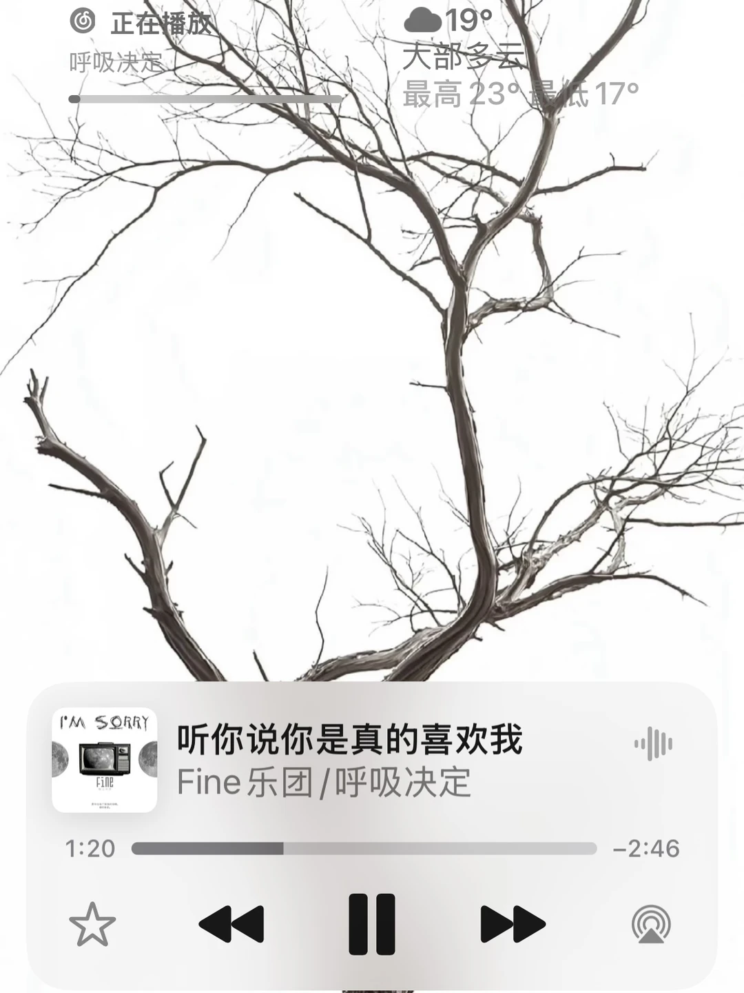 🎵 🪄 ✩˚₊ ‧ 🫧 .⋆ ｡ 不知不觉截图这么多