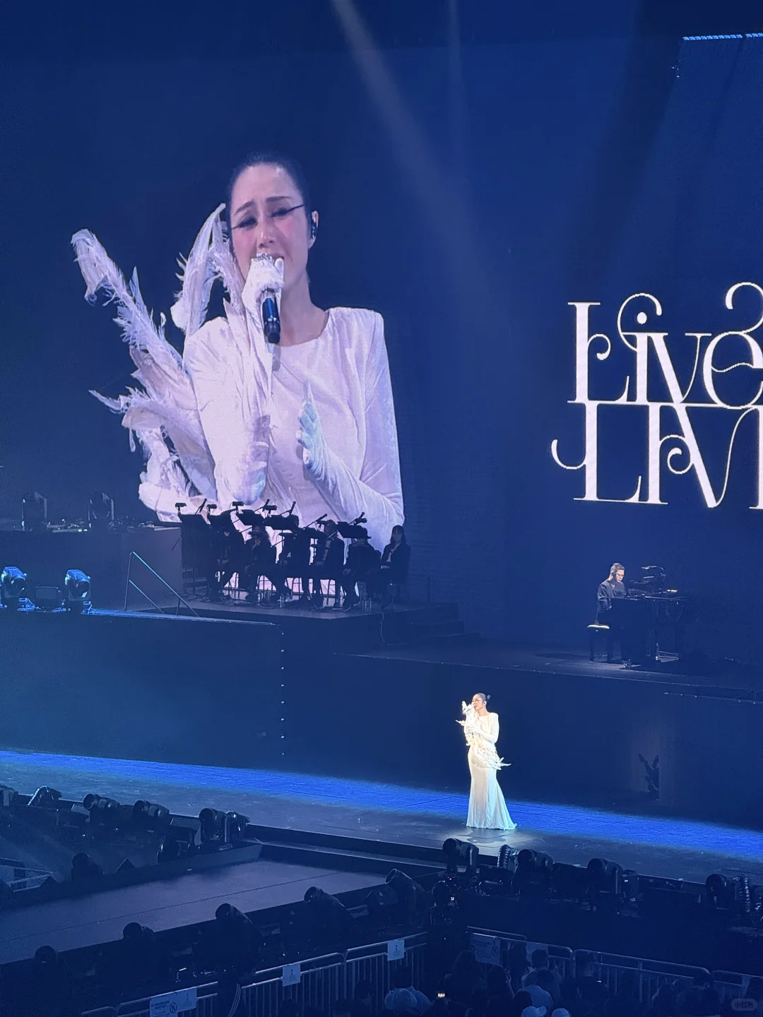 “川渝天后”杨千嬅,粤语终极大考验!