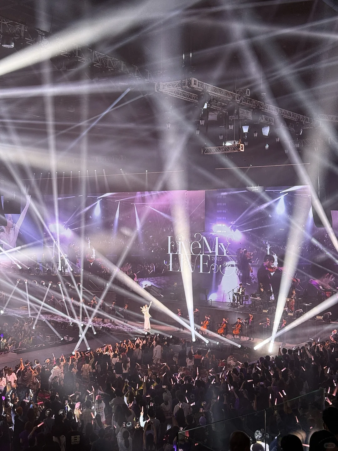 “川渝天后”杨千嬅,粤语终极大考验!