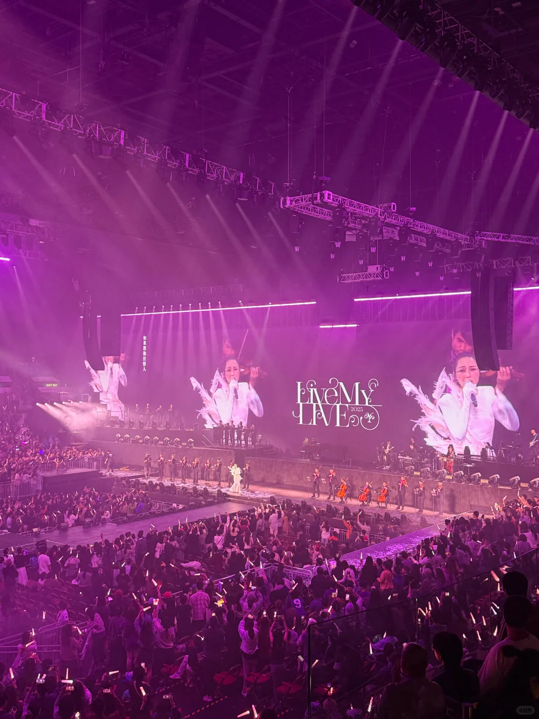 “川渝天后”杨千嬅,粤语终极大考验!