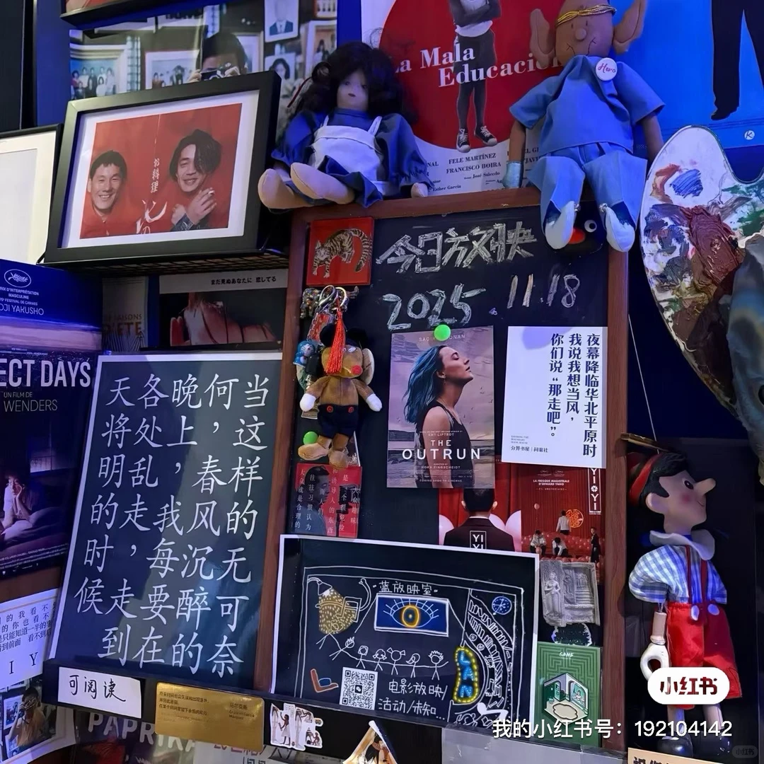 12.10日|洛阳线下小众文艺电影放映