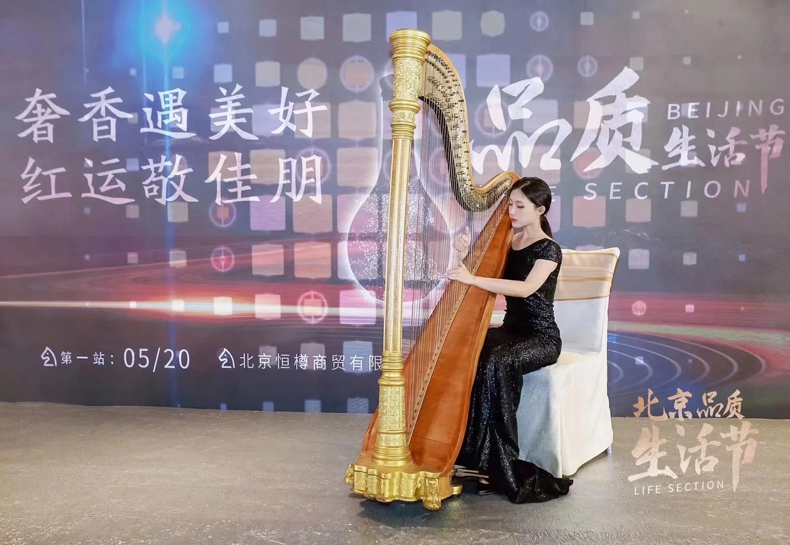 宴会竖琴演奏l年会竖琴表演l竖琴全国演出