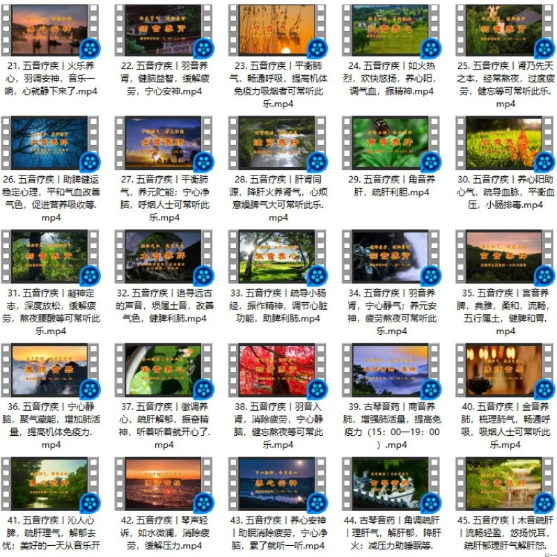 🌙古琴琵琶全都有！