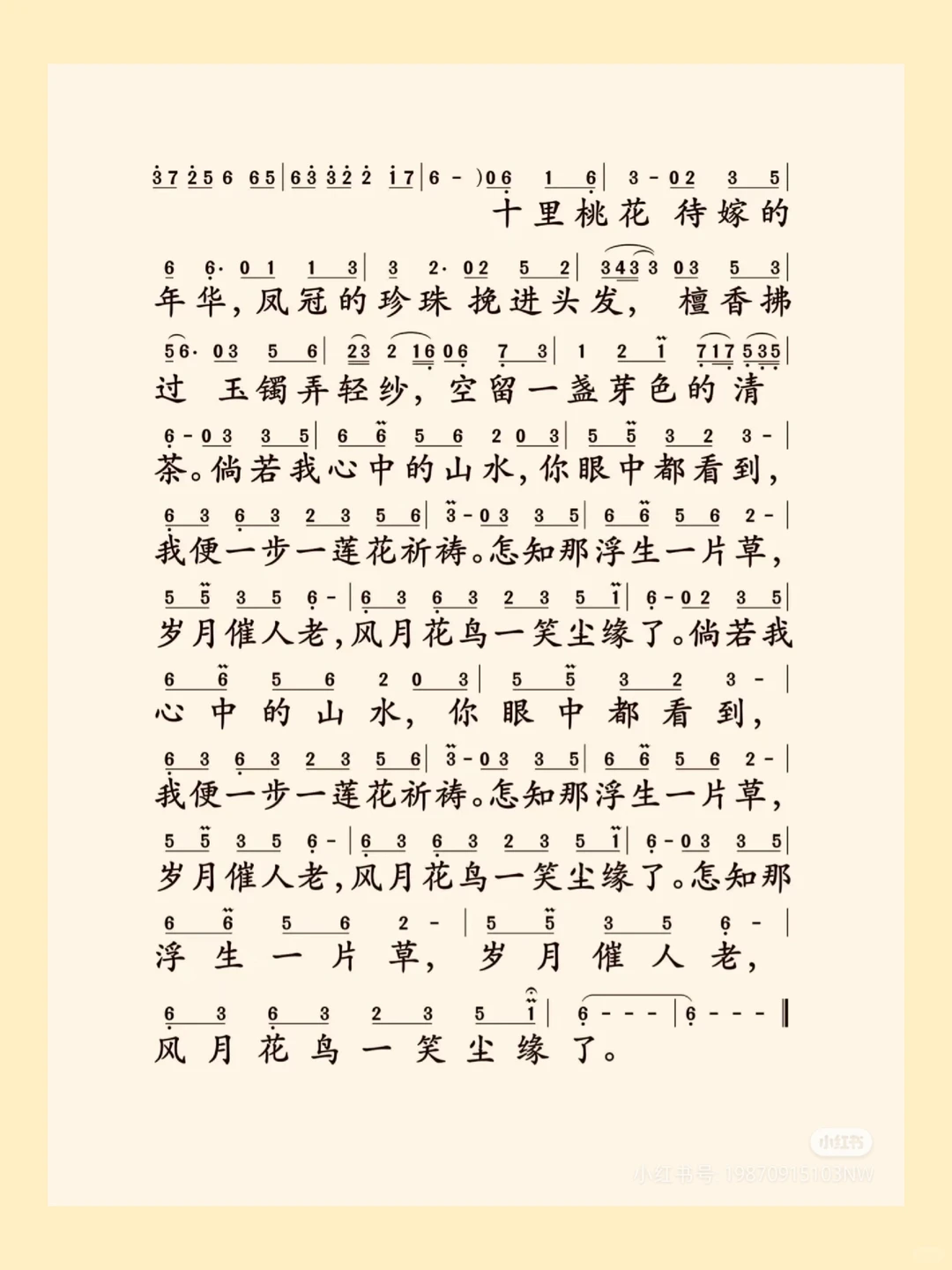 「半壶纱·简谱」一袭禅意入红尘，半壶清茶