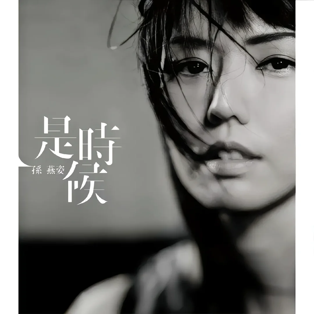 孙燕姿的歌的受众人群是不是只有情种啊