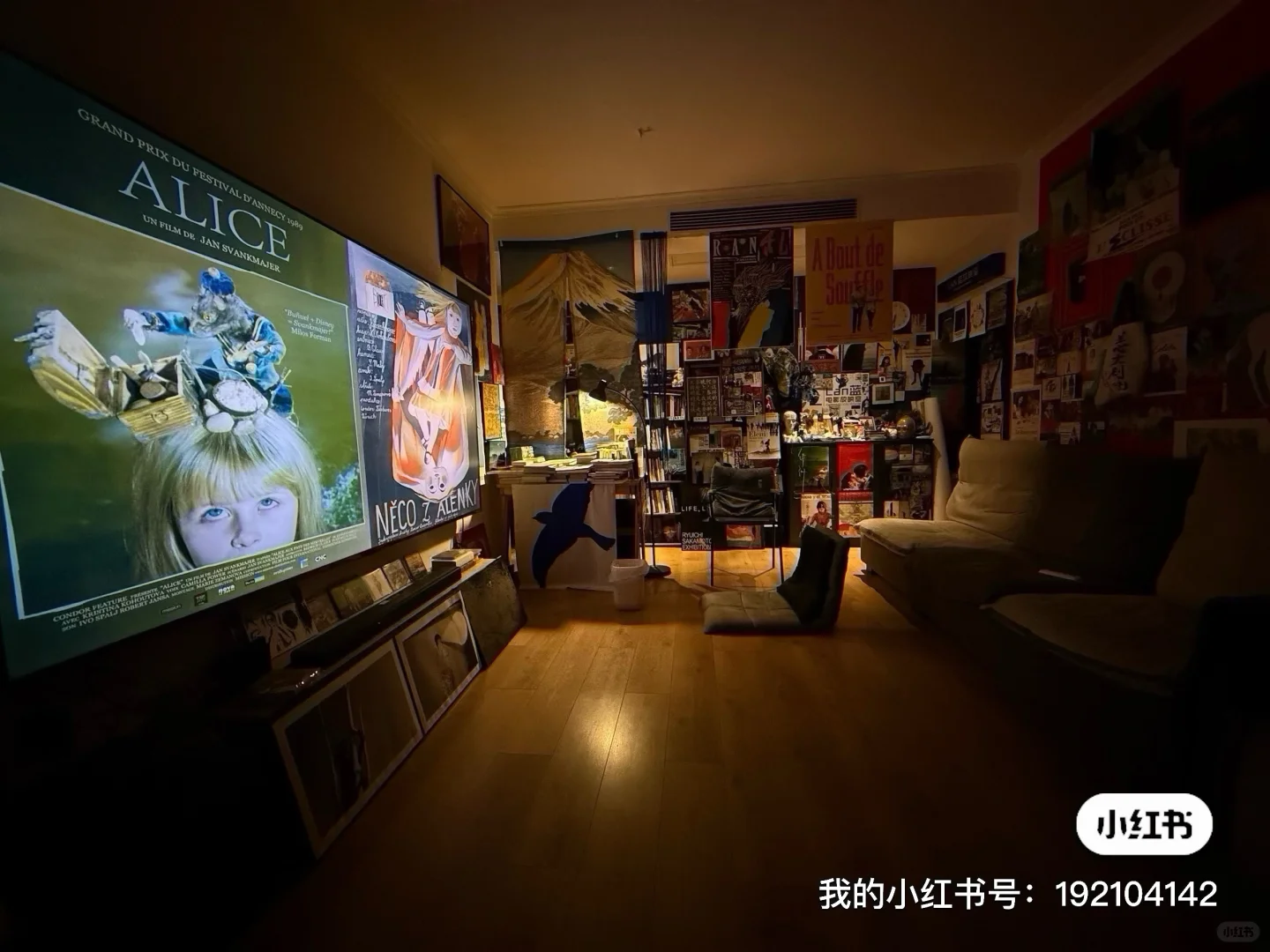 12.10日|洛阳线下小众文艺电影放映