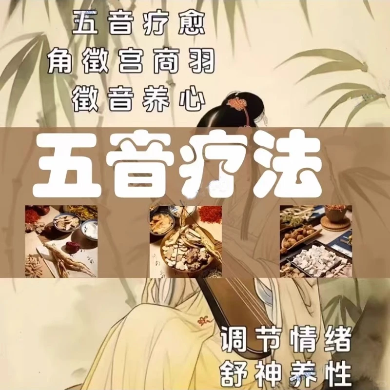 🌙古琴琵琶全都有！