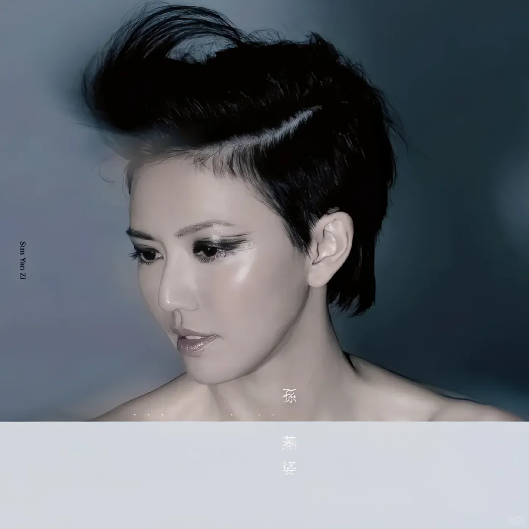 孙燕姿的歌的受众人群是不是只有情种啊