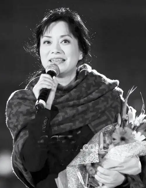 毛阿敏:华语乐坛的实力歌者,歌声里藏着岁