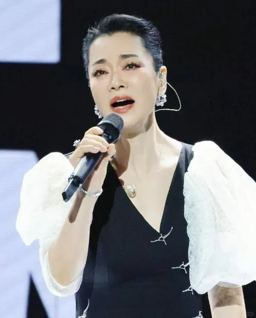 毛阿敏:华语乐坛的实力歌者,歌声里藏着岁