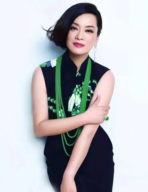 毛阿敏:华语乐坛的实力歌者,歌声里藏着岁