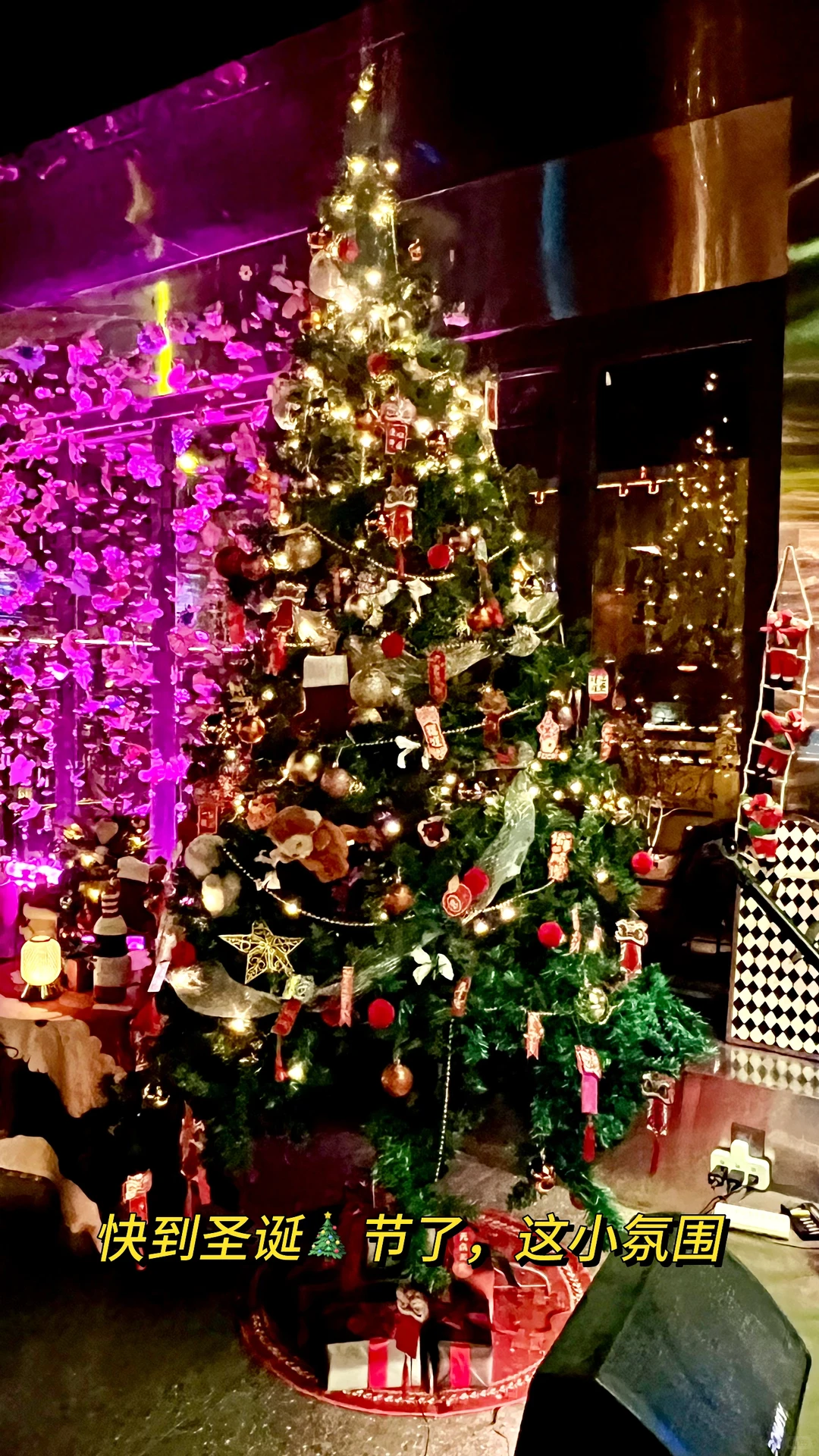 西安环城公园｜一整个爱住这家酒吧的小氛围