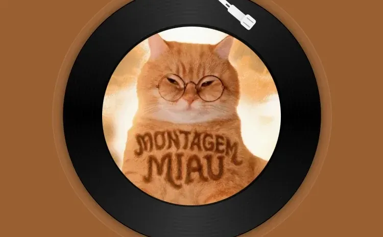 Montagem Miau - Lenar