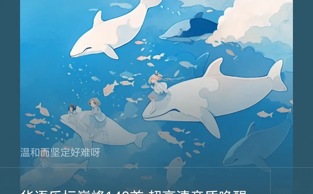 高质量歌单，今日份精神食粮