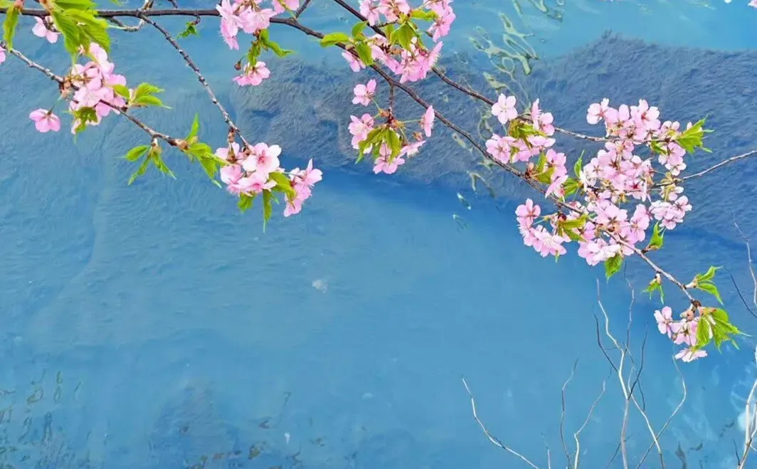 分享一首最近单曲循环的歌