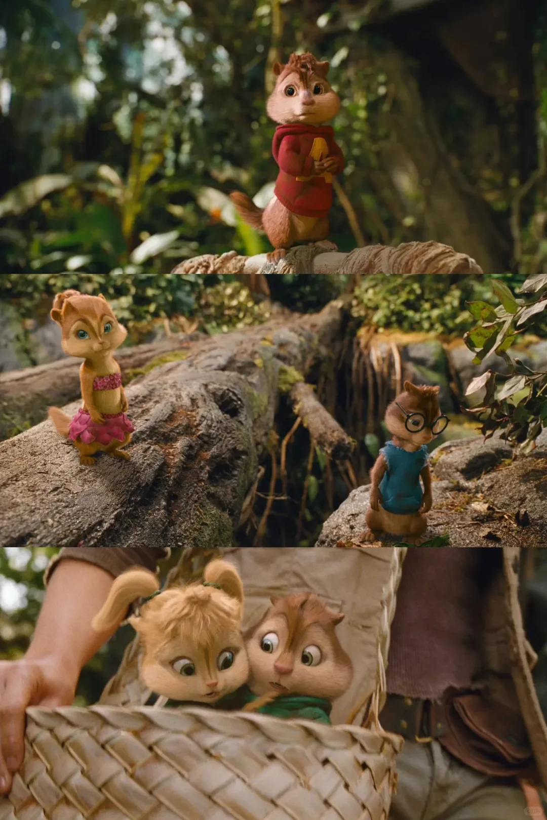 圣诞特辑🎊🎊🎄🎄🧑‍🎄🧑‍🎄