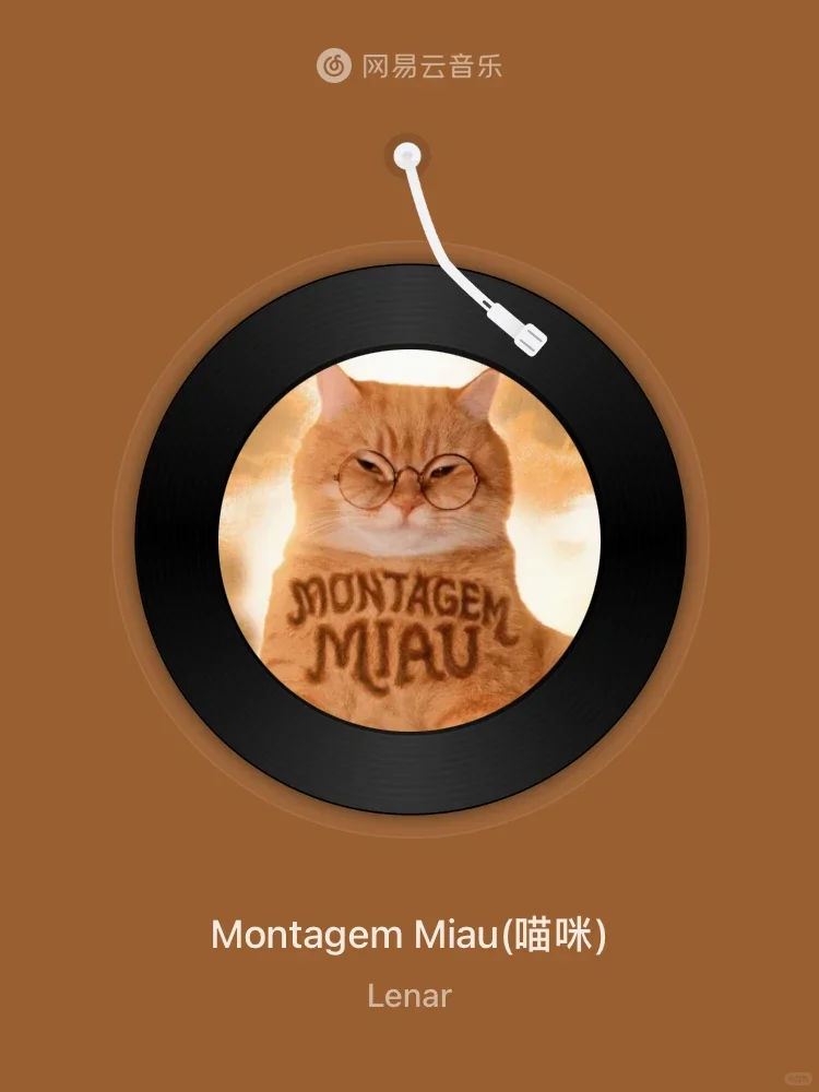 Montagem Miau - Lenar
