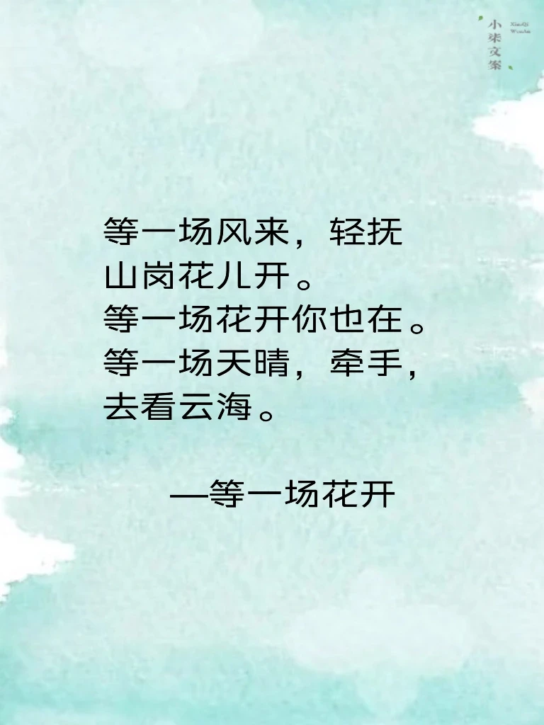 2024抖音热门最火🔥歌曲🎵！