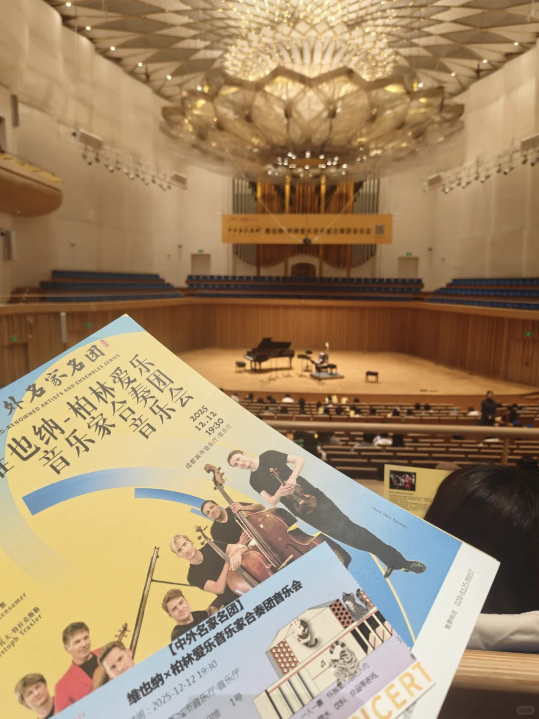 视听盛宴！接入音乐的世界！