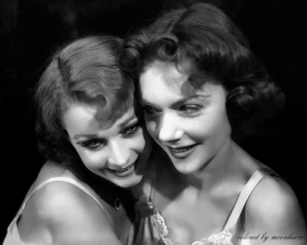 杂谈：献给美国南方淑女的旧日玫瑰