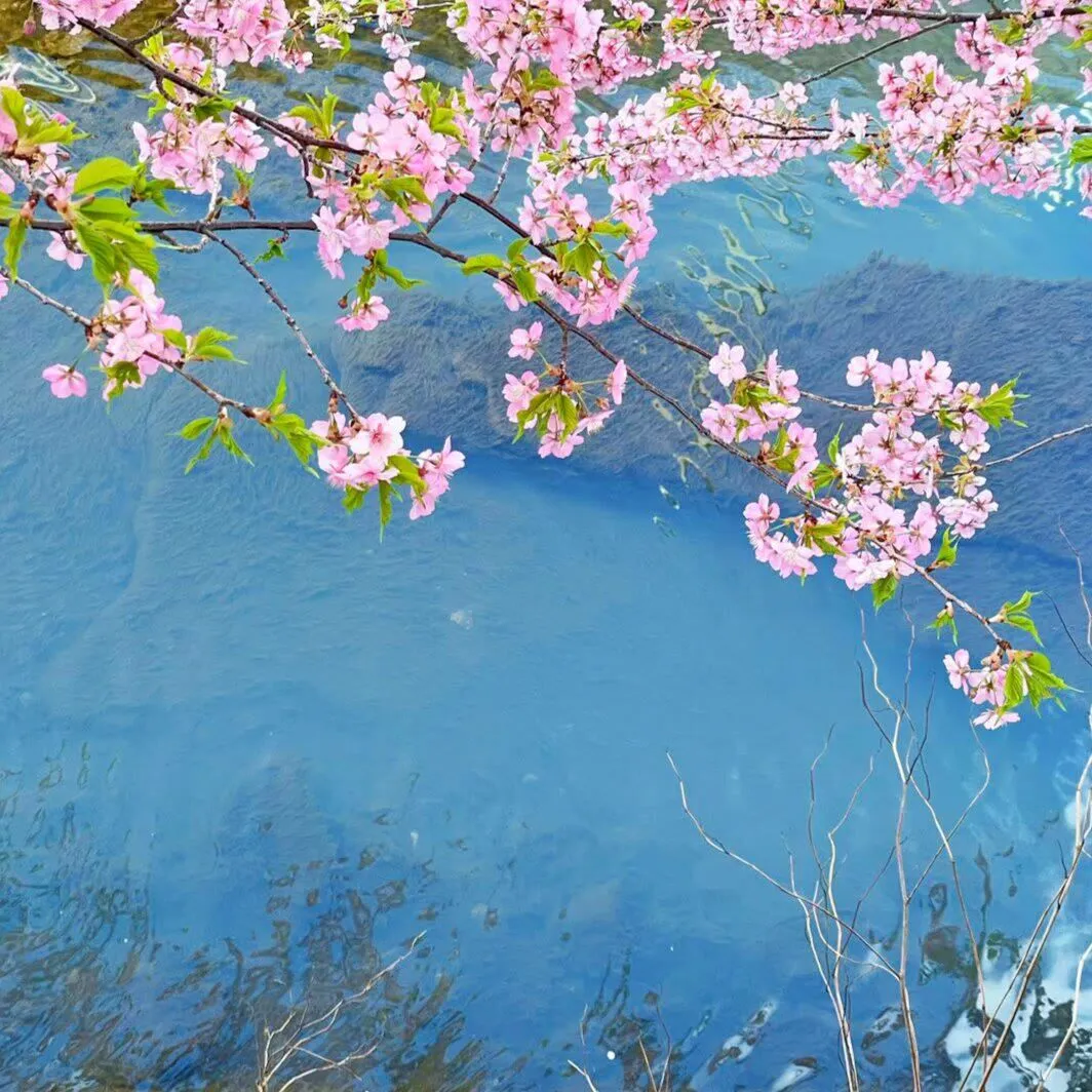 分享一首最近单曲循环的歌