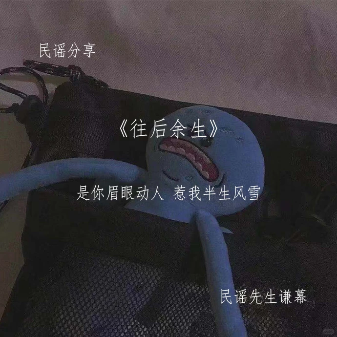 🍑民谣分享第二十三期《往后余生》