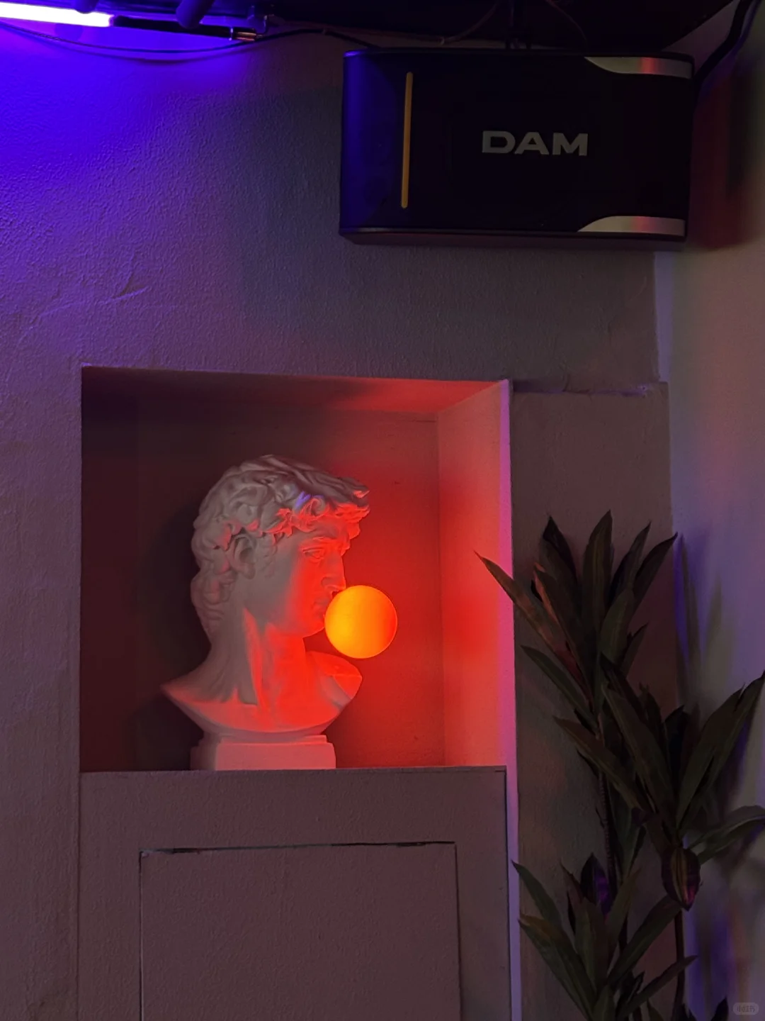 🌟【爆款推荐】佳木斯最潮水烟吧💨