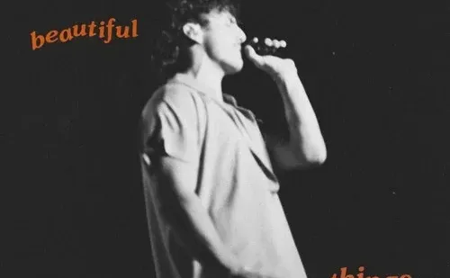 有没有类似beautiful things的歌