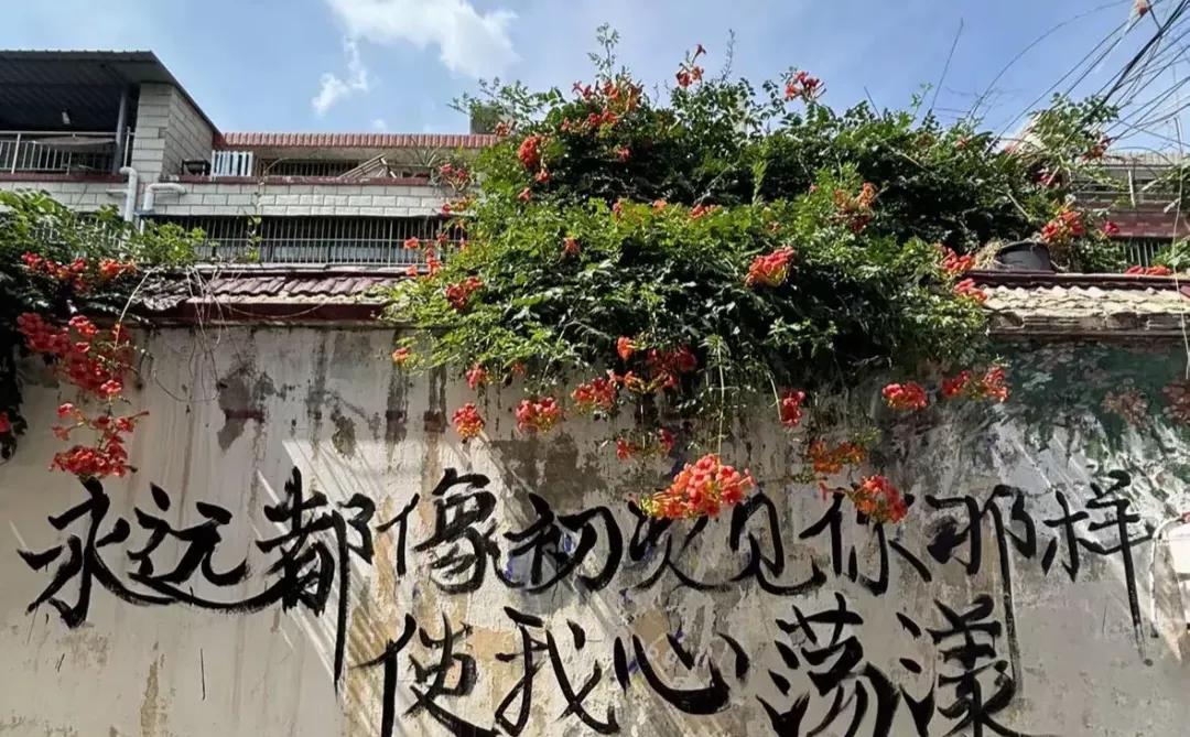 赵雷有人喜欢吗？