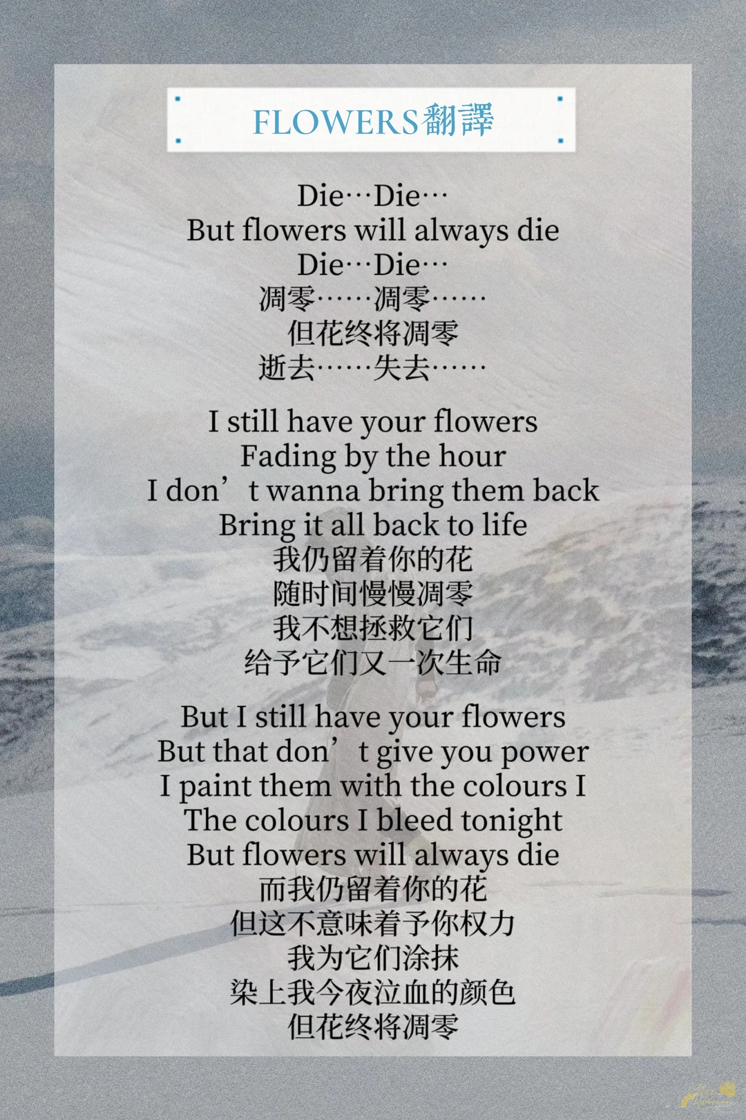 英文歌词翻译|王栎鑫新歌Flowers
