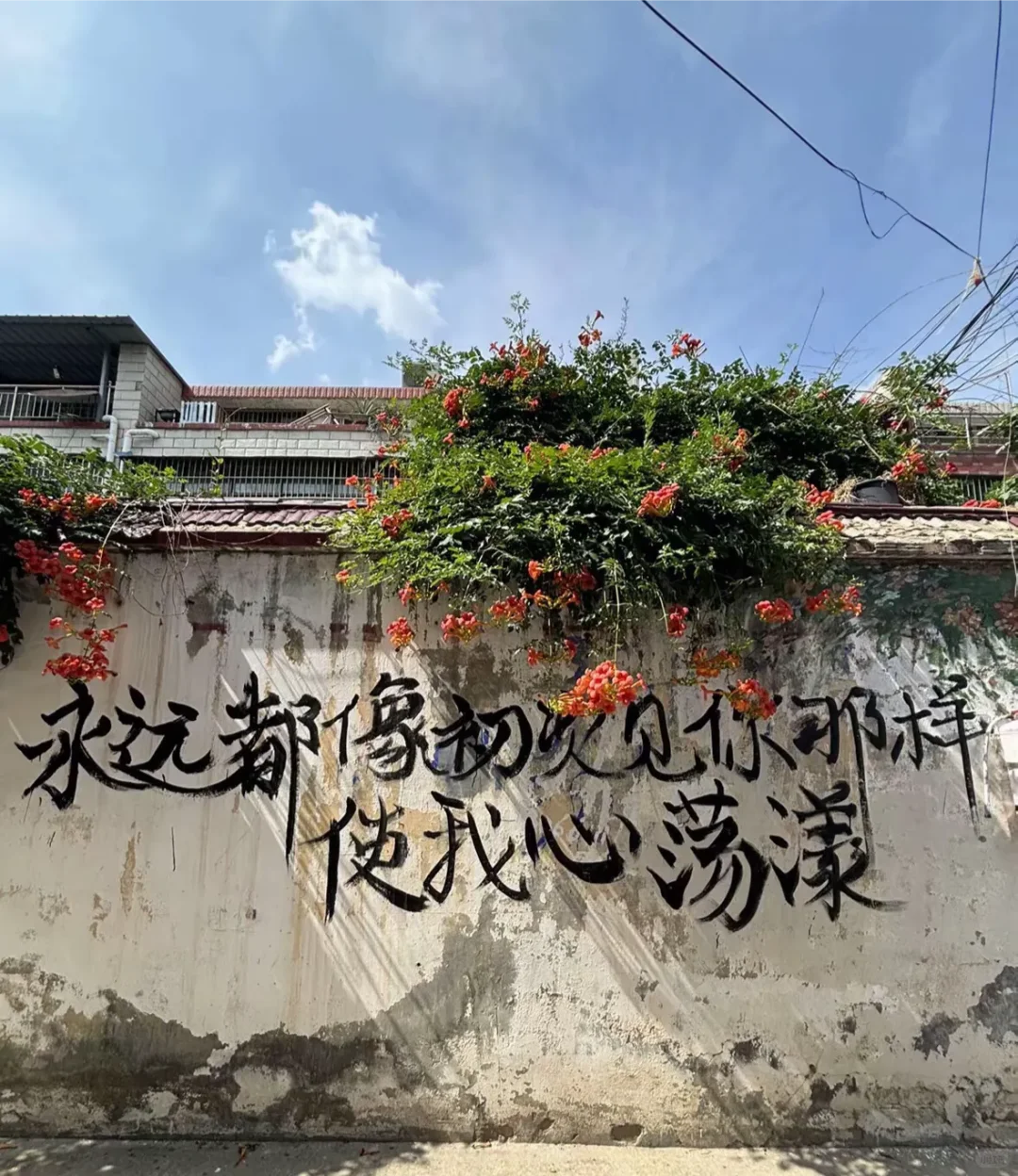 赵雷有人喜欢吗？