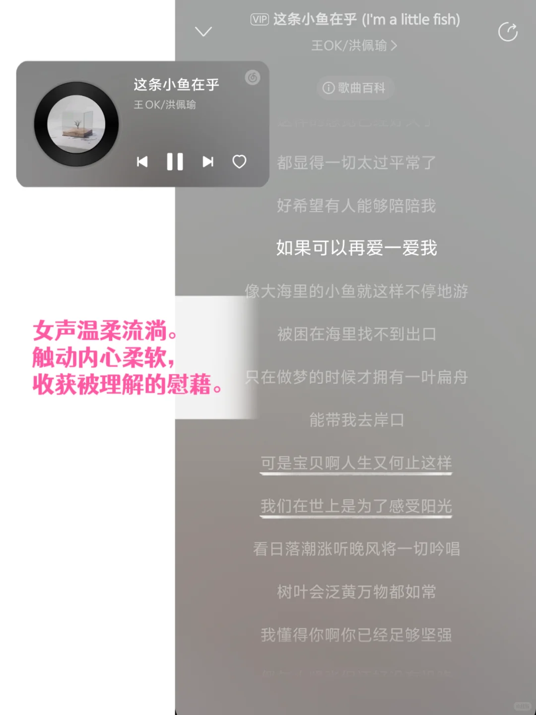 治愈EMO|把温柔夜空唱给你听的睡前歌单